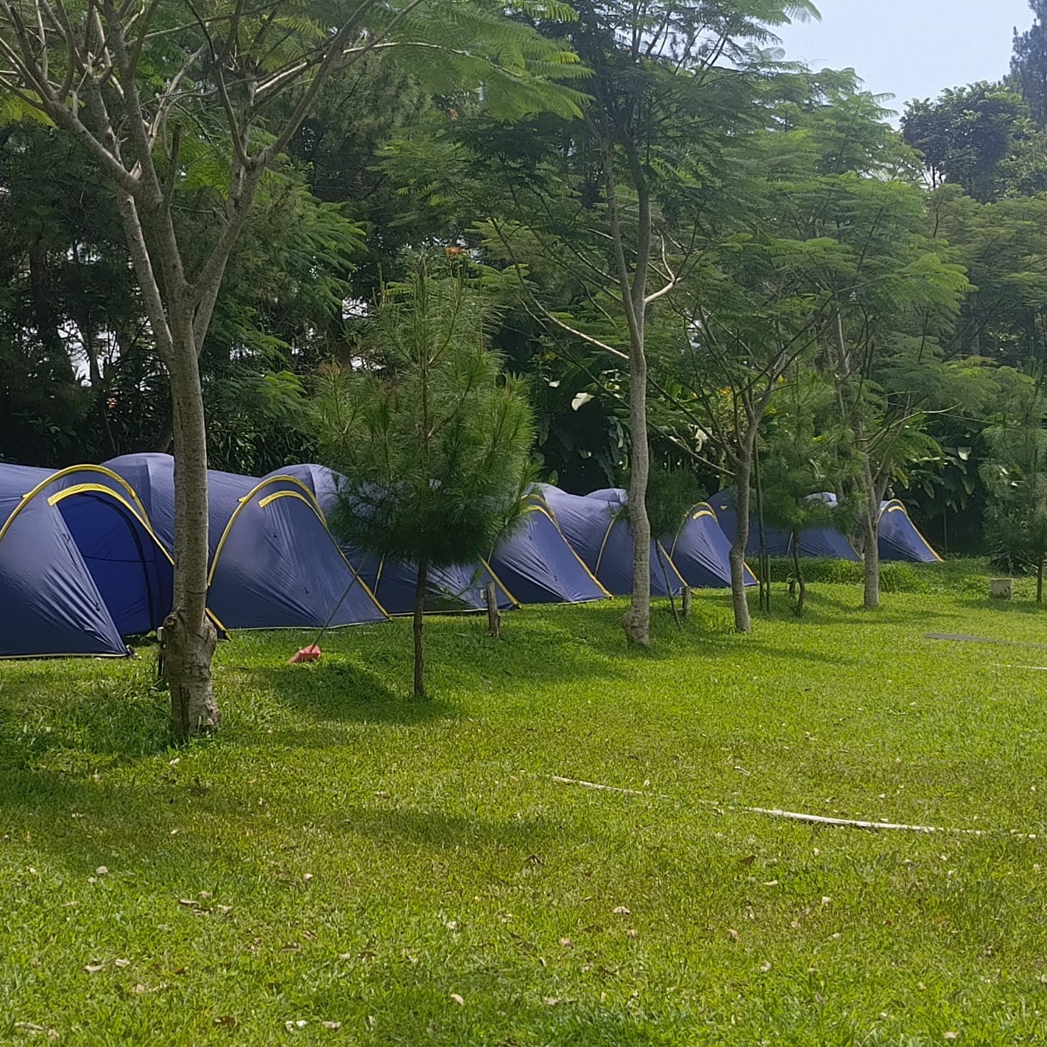 Outdoor Activity