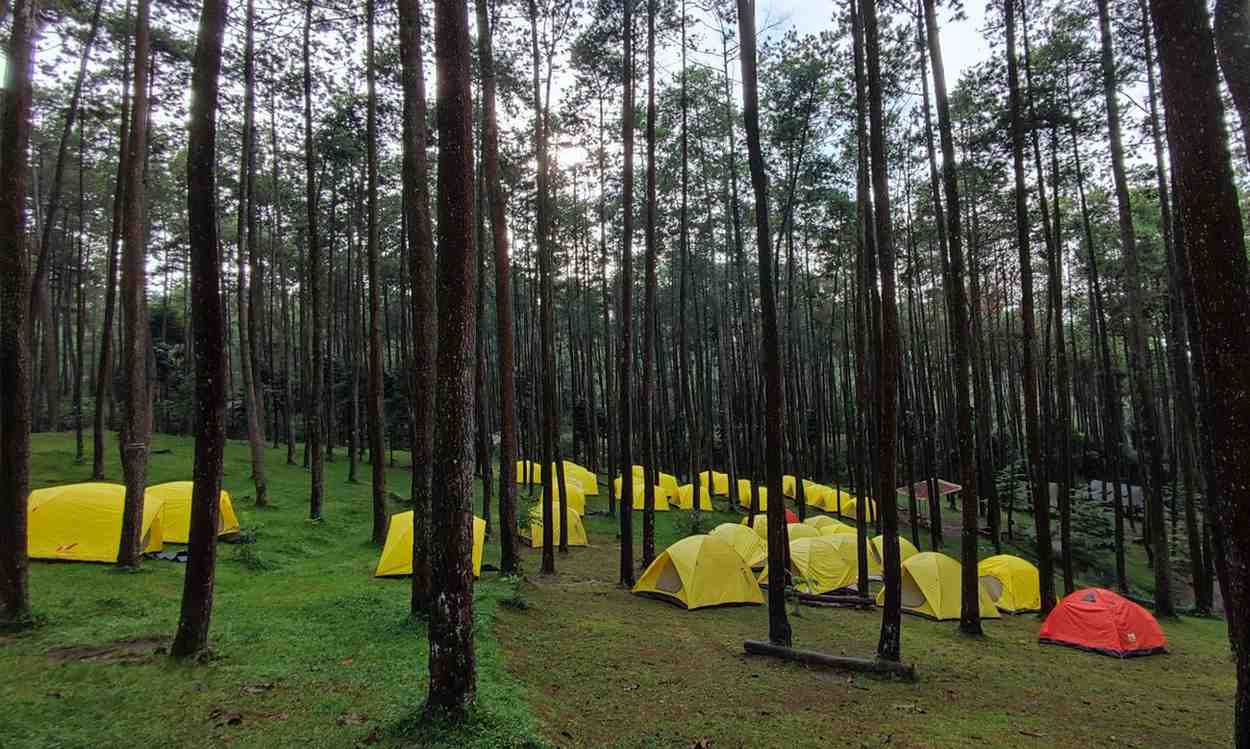 Ospek Mahasiswa